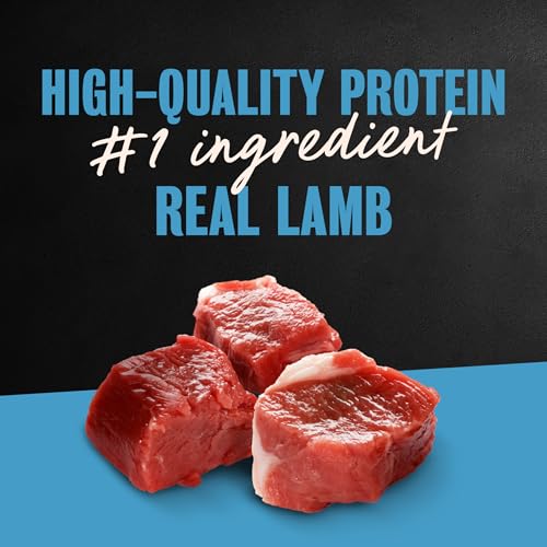 Cesar Classic Loaf in Sauce Adult Wet Dog Food Lamb Recipe, 3.5 oz. Easy Peel Trays, 24 Count (Pack of 1) - Image 3