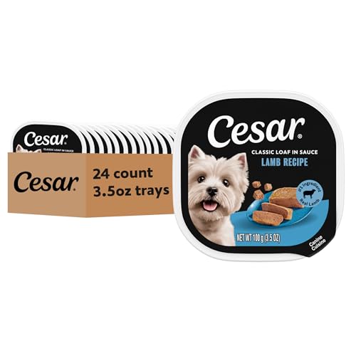 Cesar Classic Loaf in Sauce Adult Wet Dog Food Lamb Recipe, 3.5 oz. Easy Peel Trays, 24 Count (Pack of 1) - Image 1