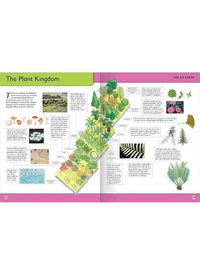 Encyclopedia of Knowledge  - Image 3