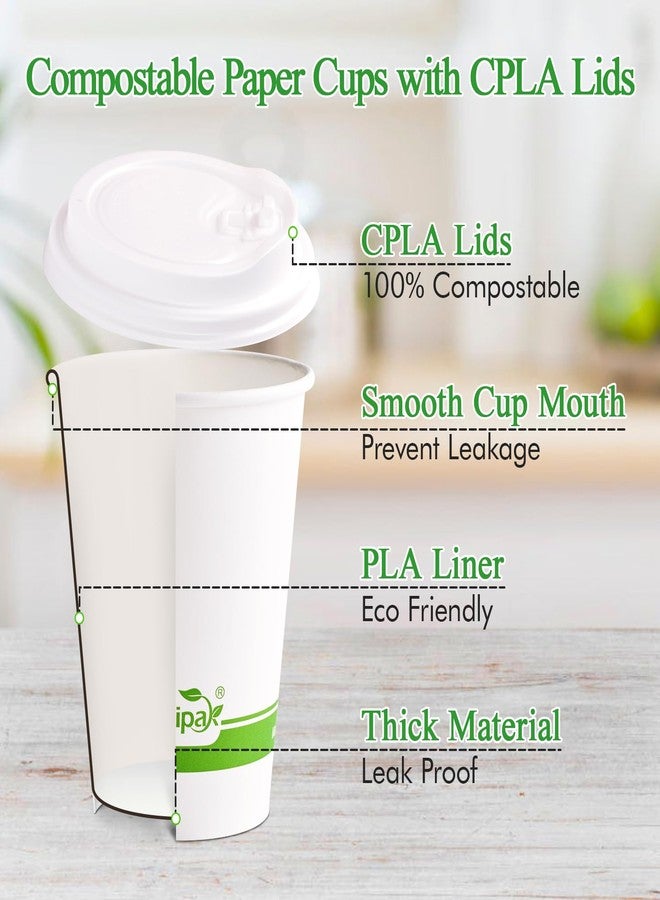 ECOLipak 100 Count 12 oz Compostable Paper Coffee Cups, Biodegradable Disposable Coffee Cups with CPLA Lid, Eco-friendly Hot Drinking Cups for Party, Picnic, Travel, and Events - Image 2