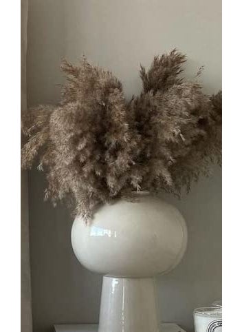 Generic Fluffy Pampas Grass 10 pieces  - Image 3