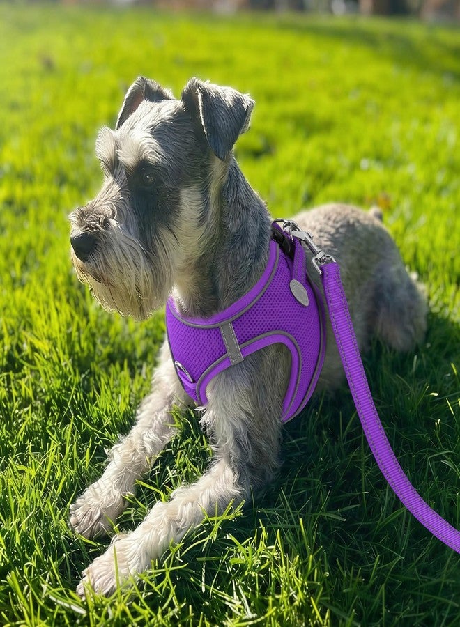 Joytale Small Dog Harness, Breathable Mesh Step-in Vest, Reflective Soft Padded Harnesses for Puppies and Extra Small Dogs, Purple, XS - Image 2