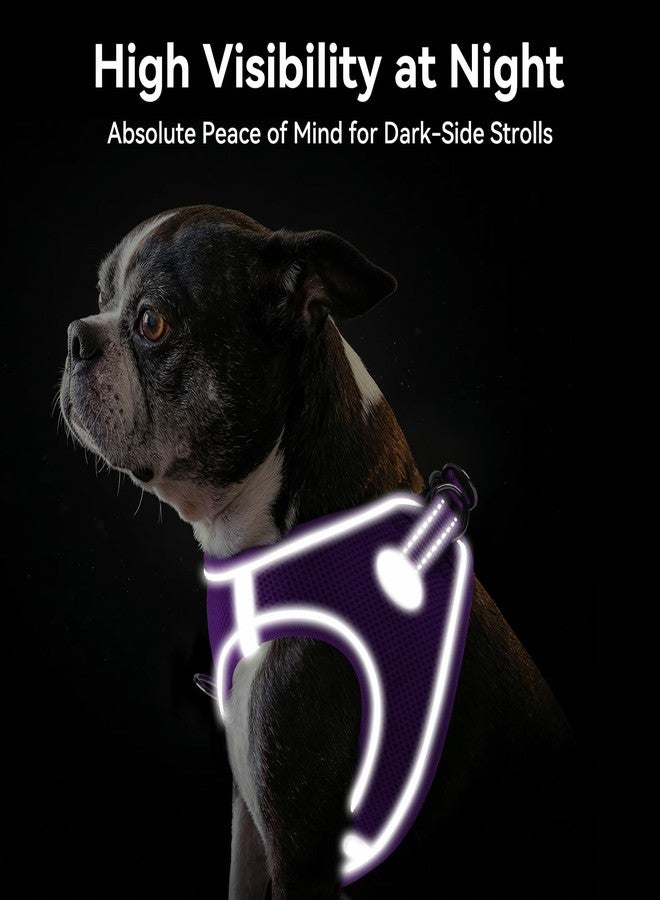Joytale Small Dog Harness, Breathable Mesh Step-in Vest, Reflective Soft Padded Harnesses for Puppies and Extra Small Dogs, Purple, XS - Image 5