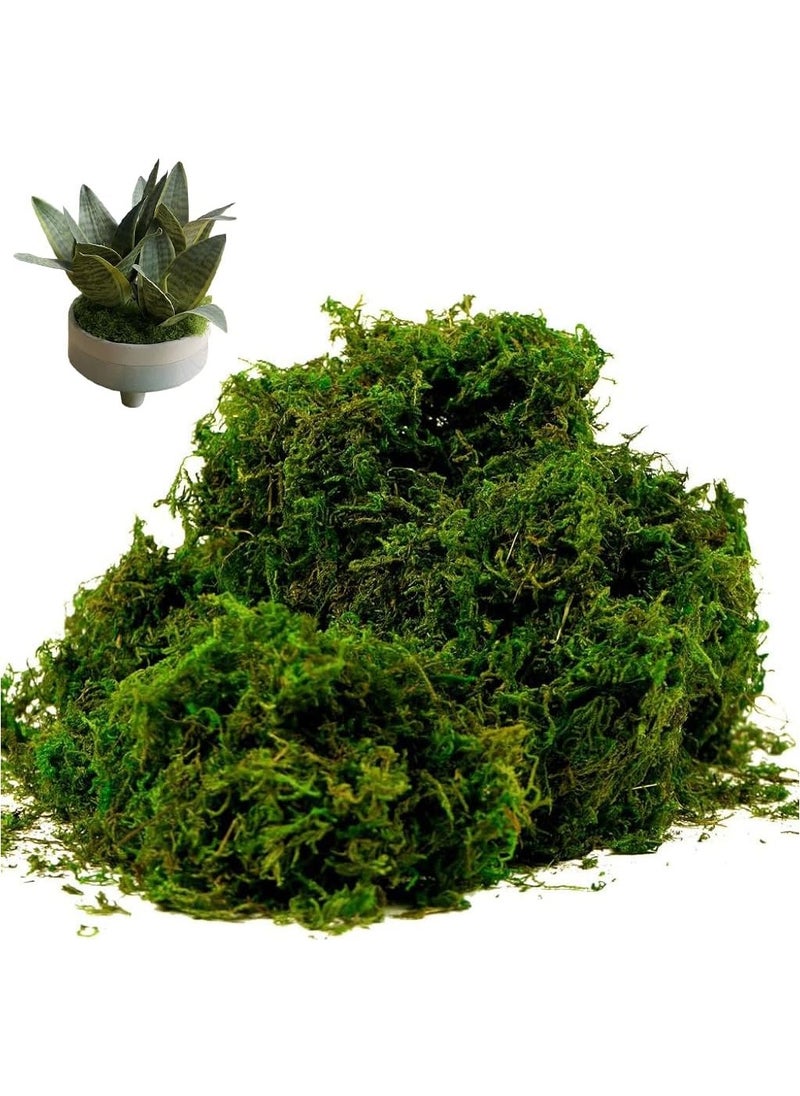 LINGWEI Fake Moss Artificial Fake Moss Grass For Indoor and Outdoor Beutifull Green Decoration Fake Moss For Centerpieces Home Kitchen Garden Decor  - Image 1