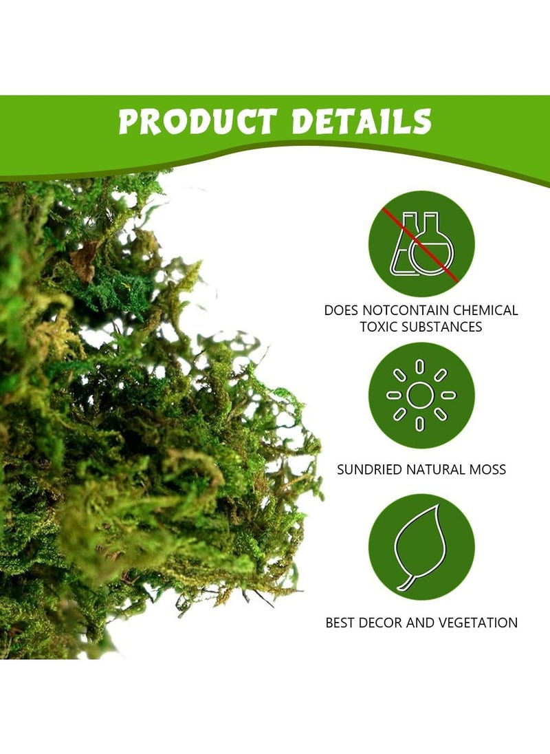 LINGWEI Fake Moss Artificial Fake Moss Grass For Indoor and Outdoor Beutifull Green Decoration Fake Moss For Centerpieces Home Kitchen Garden Decor  - Image 4