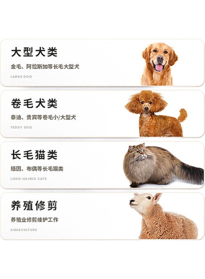 CHIGO Pet Hair Clipper, Dog Electric Trimmer, Grooming Tool, Hair Shaver, Pet Beauty Styling, Cat Hair Clipper F1198 - Image 2