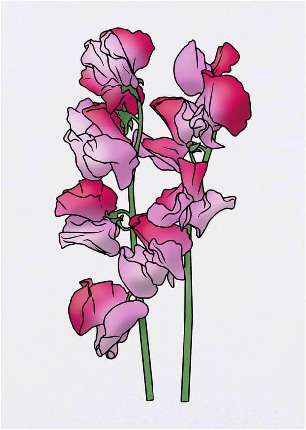 Pink Sweetpea Flowers Temporary Tattoo Water Resistant SkinSafe NonToxic Transfer TO00059125