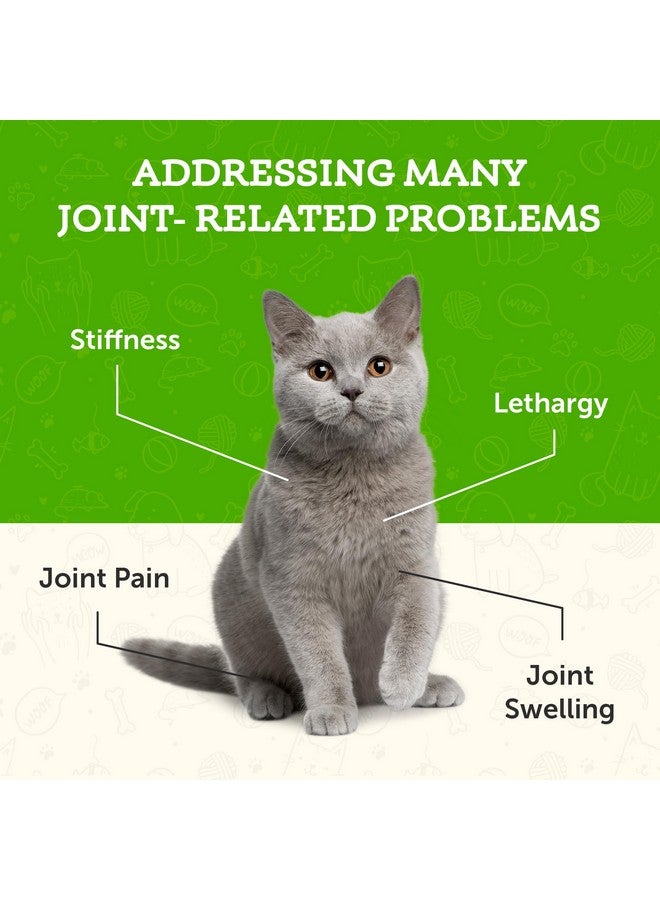 Animal Essentials Joint Support for Dogs & Cats- Joint Supplement, Liquid Joint Formula, Glucosamine, Organic Herbs, Veterinarian Recommended- 2 Fl Oz - Image 4