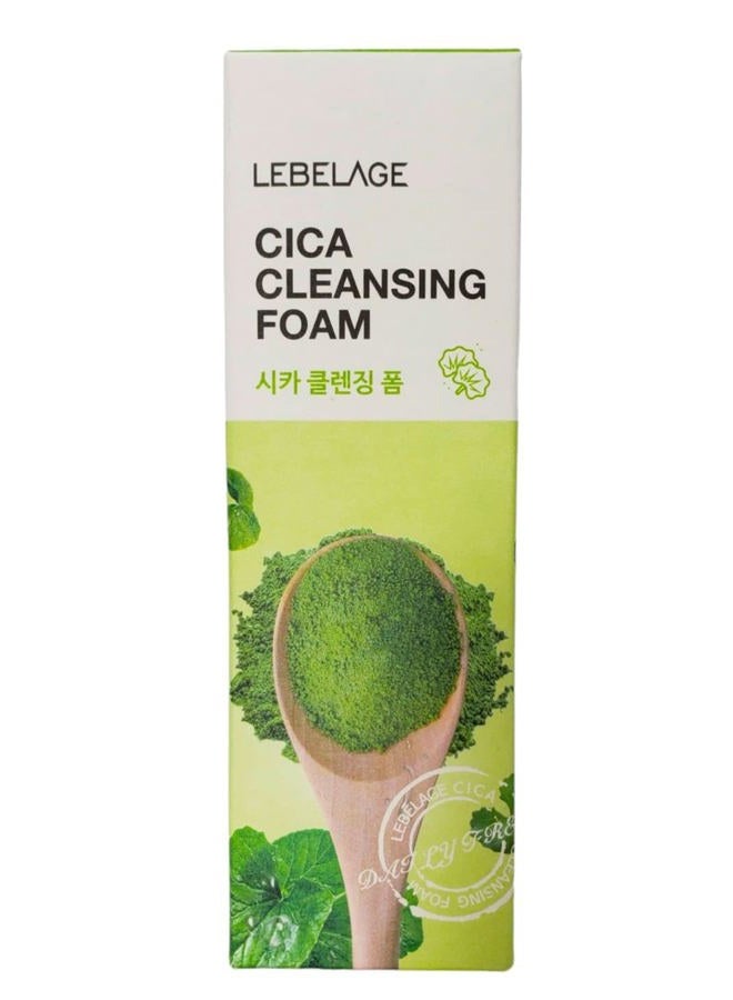 Lebelage Korean product CICA CLEANSING FOAM 100 ml - Image 4
