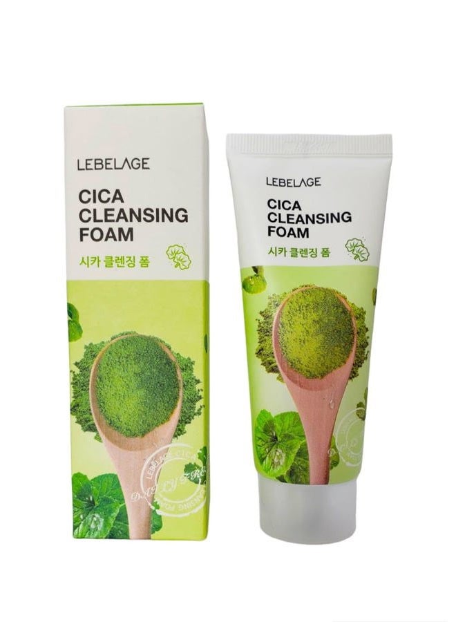 Lebelage Korean product CICA CLEANSING FOAM 100 ml - Image 1