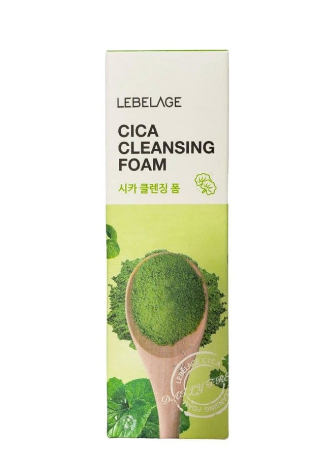 Lebelage Korean product CICA CLEANSING FOAM 100 ml - Image 3