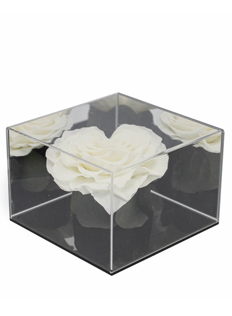 Si Bonne Acrylic Cube with White Preserved Rose, Box with Mirrors, Gift for Father's Day, Graduation, Mother's Day, New Year, Valentine's Day, Other - Image 1