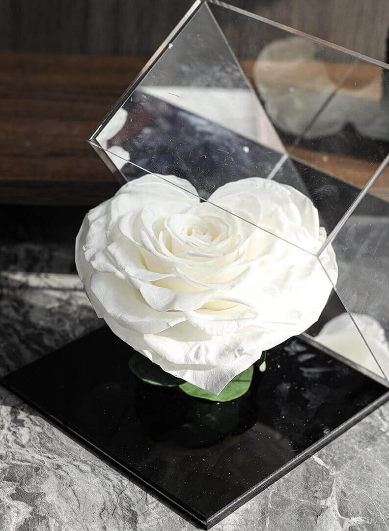 Si Bonne Acrylic Cube with White Preserved Rose, Box with Mirrors, Gift for Father's Day, Graduation, Mother's Day, New Year, Valentine's Day, Other - Image 2