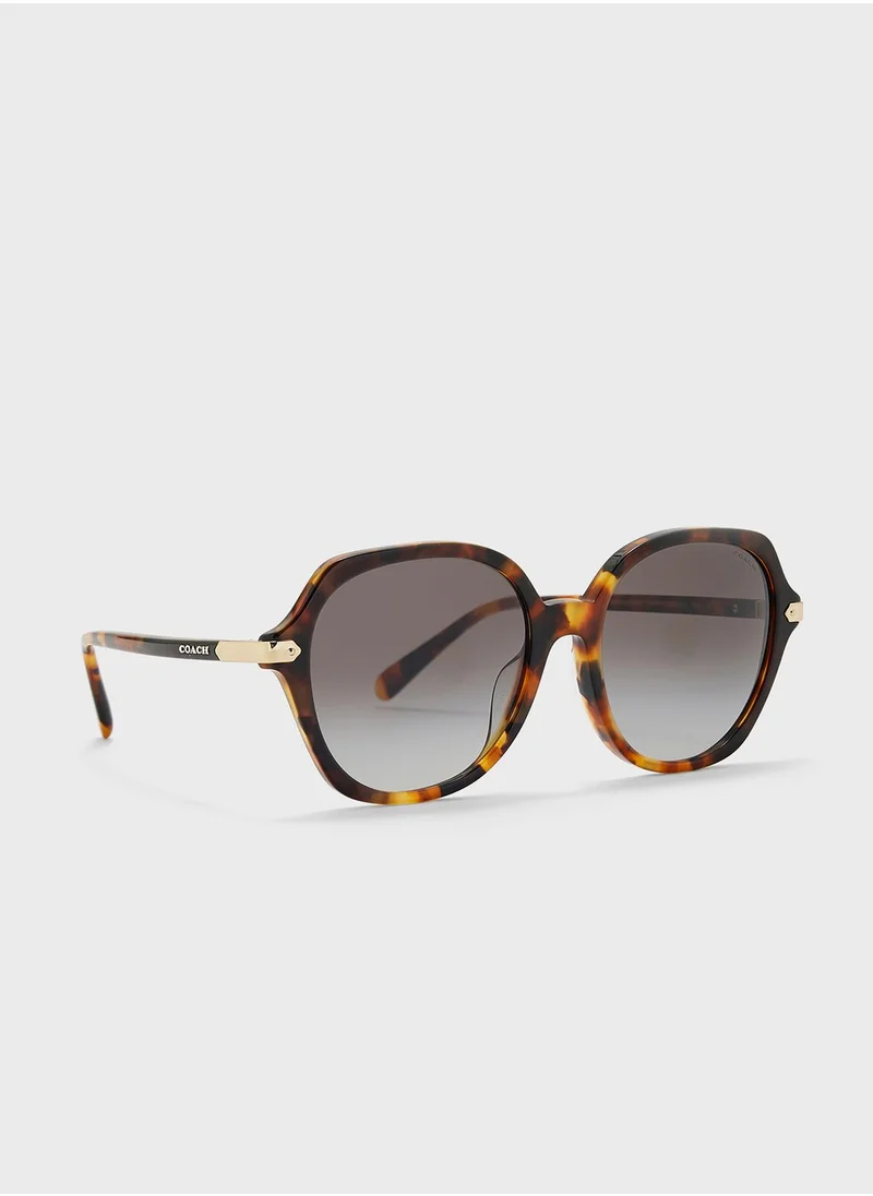 COACH 0Hc8377U Oversized Sunglasses