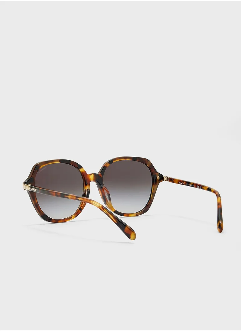 COACH 0Hc8377U Oversized Sunglasses