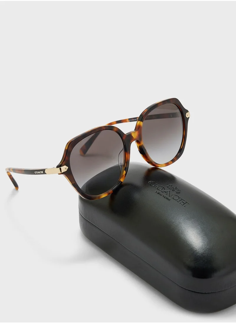 COACH 0Hc8377U Oversized Sunglasses