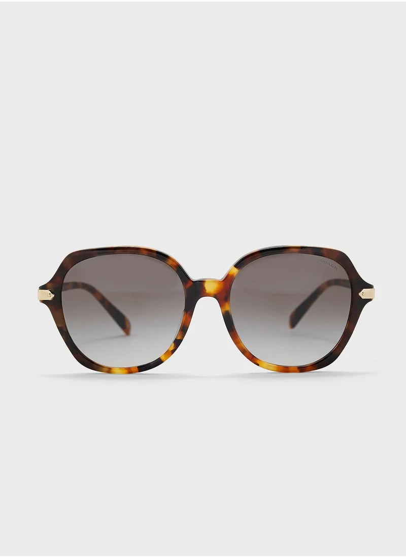 COACH 0Hc8377U Oversized Sunglasses