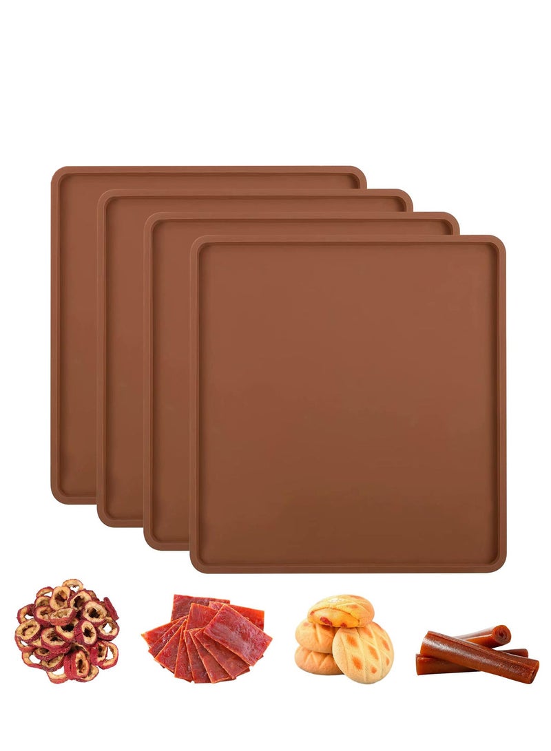 4 Pcs Silicone Dehydrator Sheets with Edge for 14" x 14" Trays, Non-stick Silicone Tray Liner for Excalibur Dehydrator, Reusable Dehydrator Mats Square Dryer for Jerky, Fruit, Meat, Herbs, Crackers - Image 1