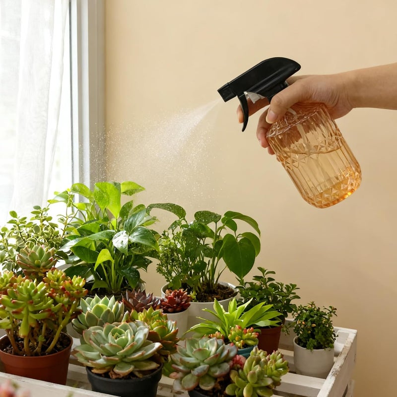YYTSGG Glass Plant Mister Bottle, 15oz Refillable Water Spray Bottle with Adjustable Mist Nozzle for Indoor Flowers, Outdoor Gardening, Cleaning, Hair and Pets Care (Orange) - Image 5