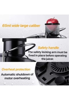 Denx Cold press fruit/vegetable juicer with high productivity  - Image 2