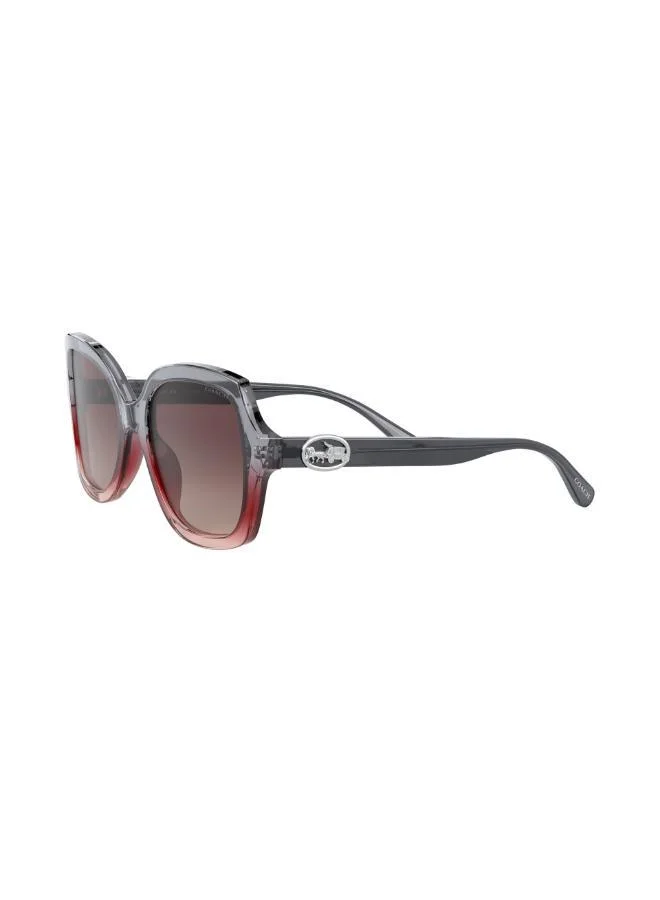 COACH  0HC8295 Oversized Sunglasses for Women | Best Price UAE
