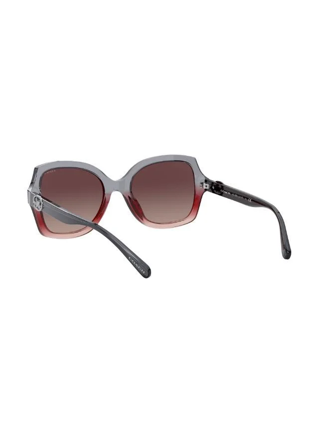 COACH  0HC8295 Oversized Sunglasses for Women | Best Price UAE