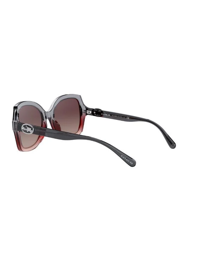 COACH  0HC8295 Oversized Sunglasses for Women | Best Price UAE