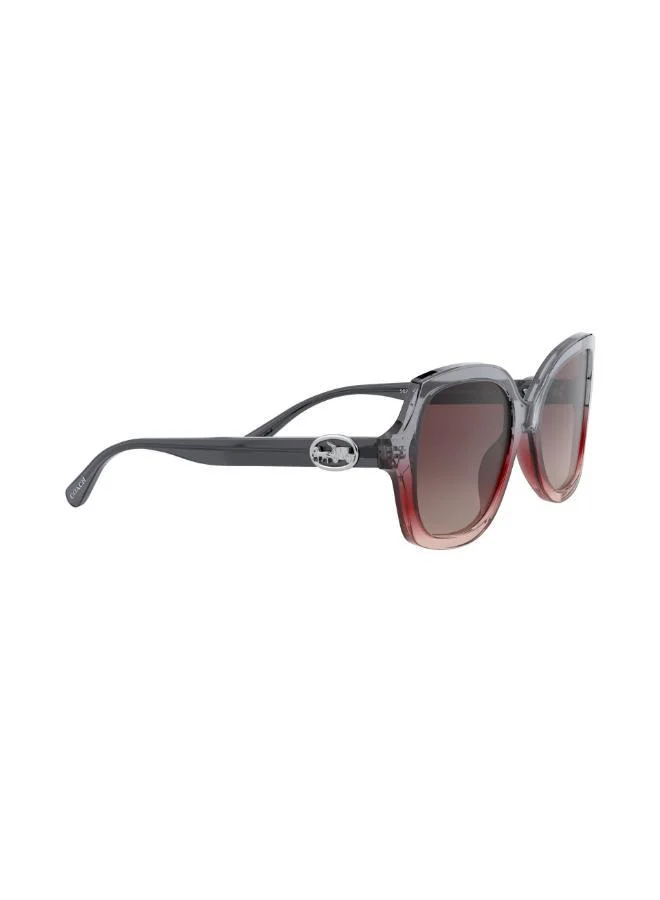 COACH  0HC8295 Oversized Sunglasses for Women | Best Price UAE