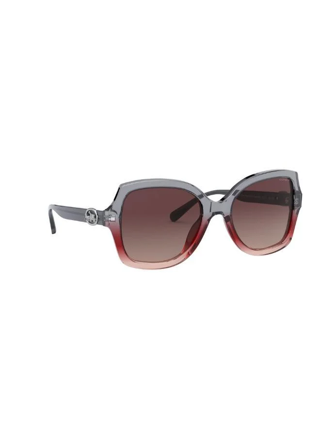 COACH  0HC8295 Oversized Sunglasses for Women | Best Price UAE