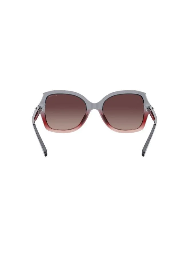 COACH  0HC8295 Oversized Sunglasses for Women | Best Price UAE