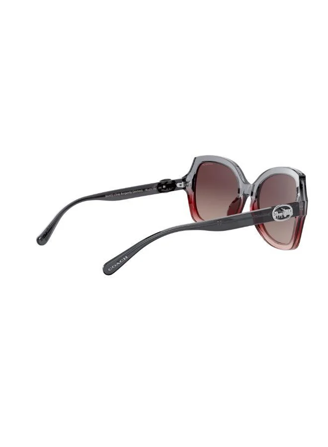 COACH  0HC8295 Oversized Sunglasses for Women | Best Price UAE