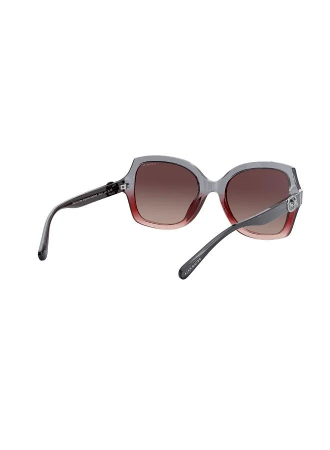 COACH  0HC8295 Oversized Sunglasses for Women | Best Price UAE