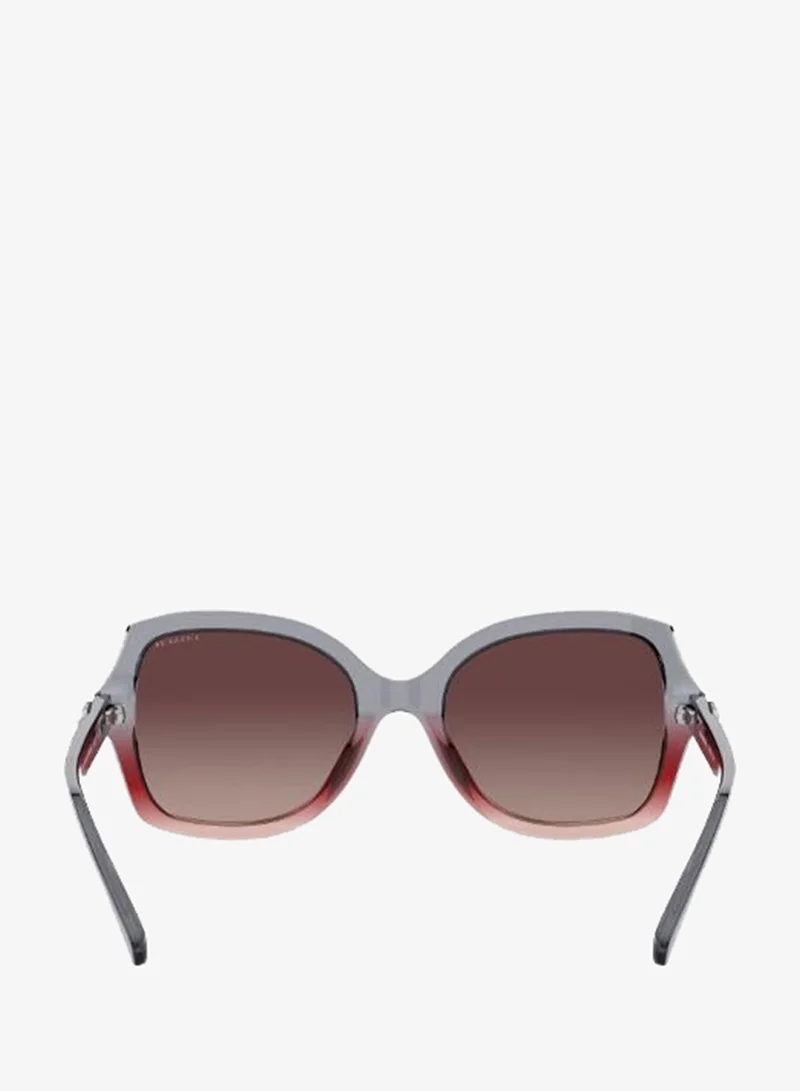Coach  0HC8295 Oversized Sunglasses for Women | Best Price UAE