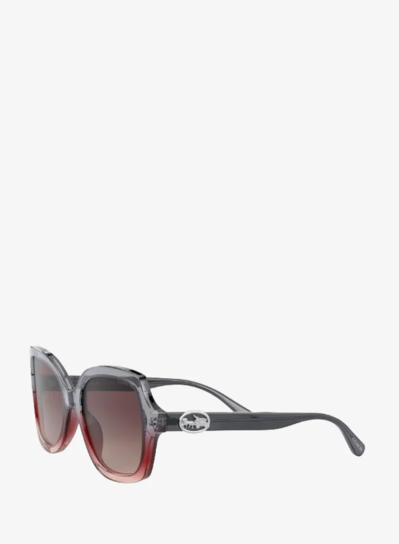 Coach  0HC8295 Oversized Sunglasses for Women | Best Price UAE