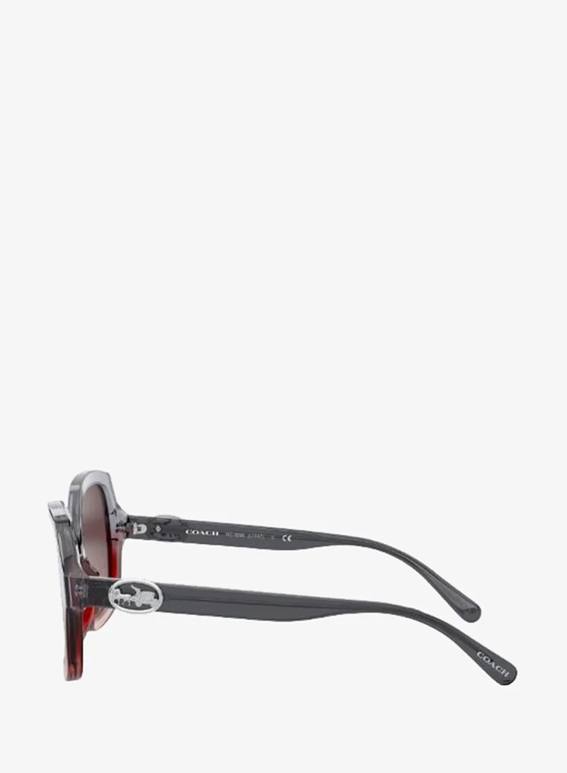 Coach  0HC8295 Oversized Sunglasses for Women | Best Price UAE