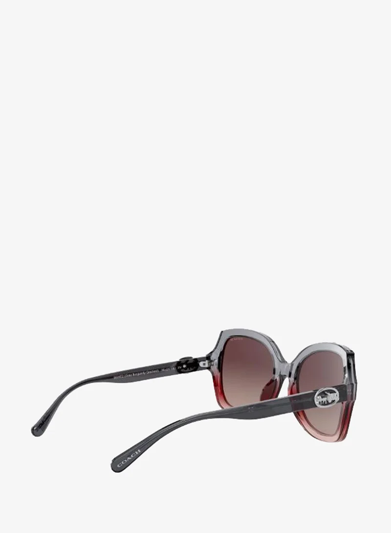 Coach  0HC8295 Oversized Sunglasses for Women | Best Price UAE
