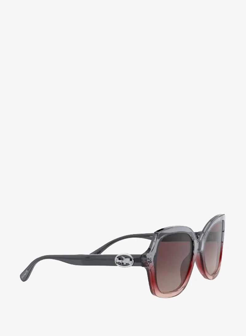 Coach  0HC8295 Oversized Sunglasses for Women | Best Price UAE
