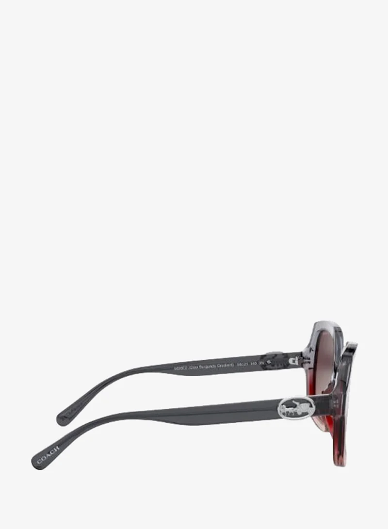 Coach  0HC8295 Oversized Sunglasses for Women | Best Price UAE