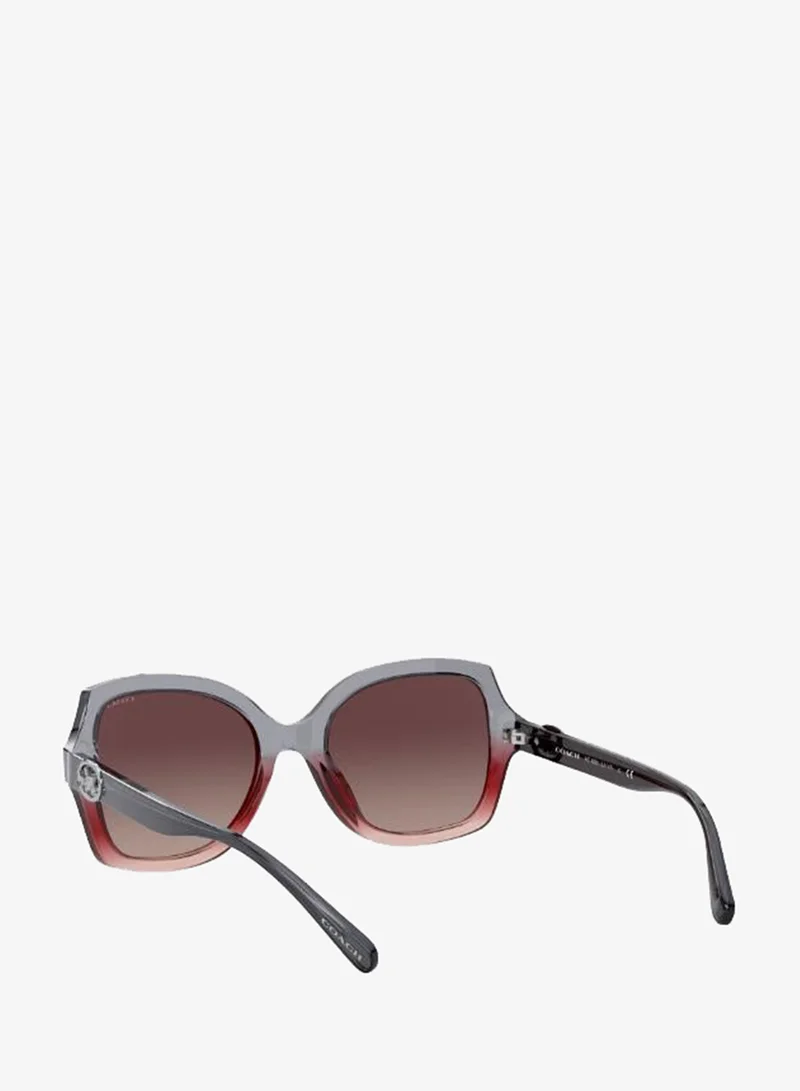 Coach  0HC8295 Oversized Sunglasses for Women | Best Price UAE
