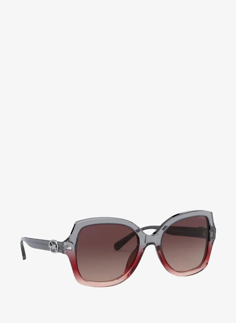 Coach  0HC8295 Oversized Sunglasses for Women | Best Price UAE