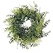 Vickerman Everyday 18" Artificial Green Buckler Fern and Grass Wreath - Faux Indoor Greenery Wreath - for Home Or - Image 2