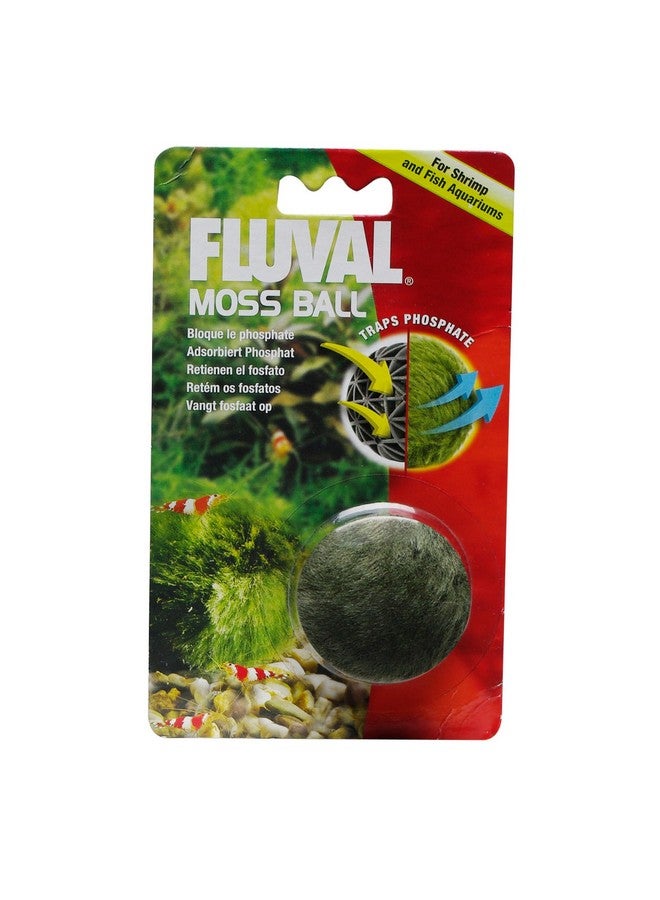 كرة الطحالب الاصطناعية فلوفال