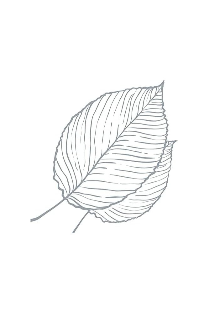 Arm & Hammer Essentials Natural Deodorant Unscented- 71 g - Image 4