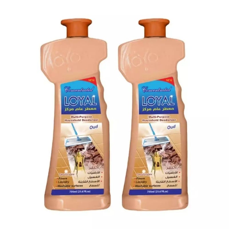 Loyal Multi-Purpose Household Deodorizer Gel Oud-2X700ml
