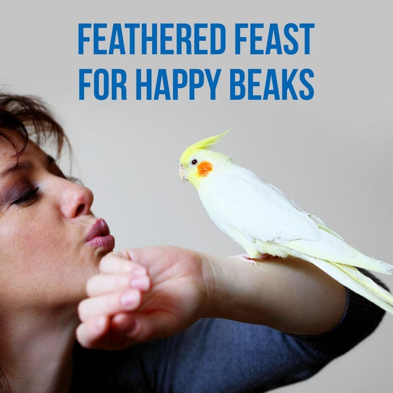 BRANDSFINITY Premium Bird Food For Cockatiel And Parakeet - Image 4