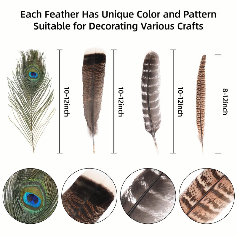 Ballinger Large Natural Pheasant Feathers - 8-12inch 4 Styles 15Pcs Assorted Craft Feathers Bulk,Peacock Pheasant Turkey Feather for Crafting Vase Hat Wedding Autumn Party Decor - Image 5