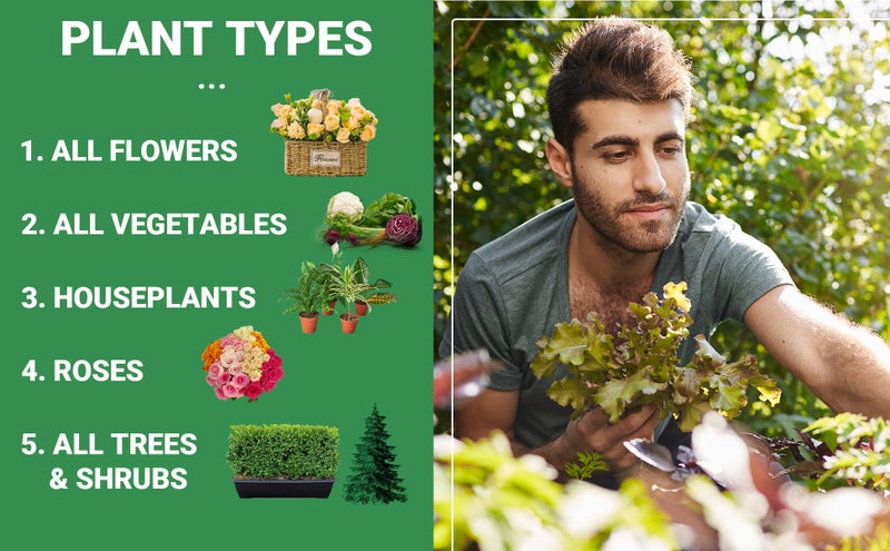Gardenwise 10-10-10 All-Purpose Professional Fertilizer Plant Food For Indoor/Outdoor Gardening; Premium Shrub  Tree  Flower  Vegetable And Lawn Fertilizer; Quick-Release Nitrogen (3 Quarts) - Image 3