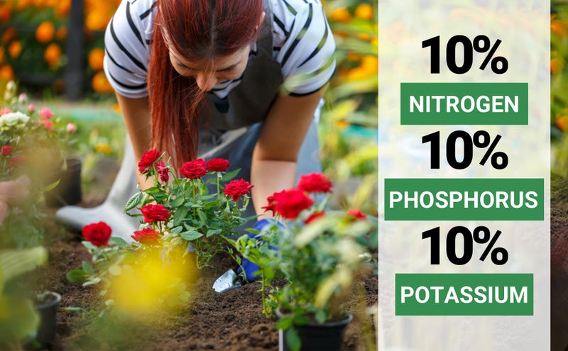 Gardenwise 10-10-10 All-Purpose Professional Fertilizer Plant Food For Indoor/Outdoor Gardening; Premium Shrub  Tree  Flower  Vegetable And Lawn Fertilizer; Quick-Release Nitrogen (3 Quarts) - Image 4