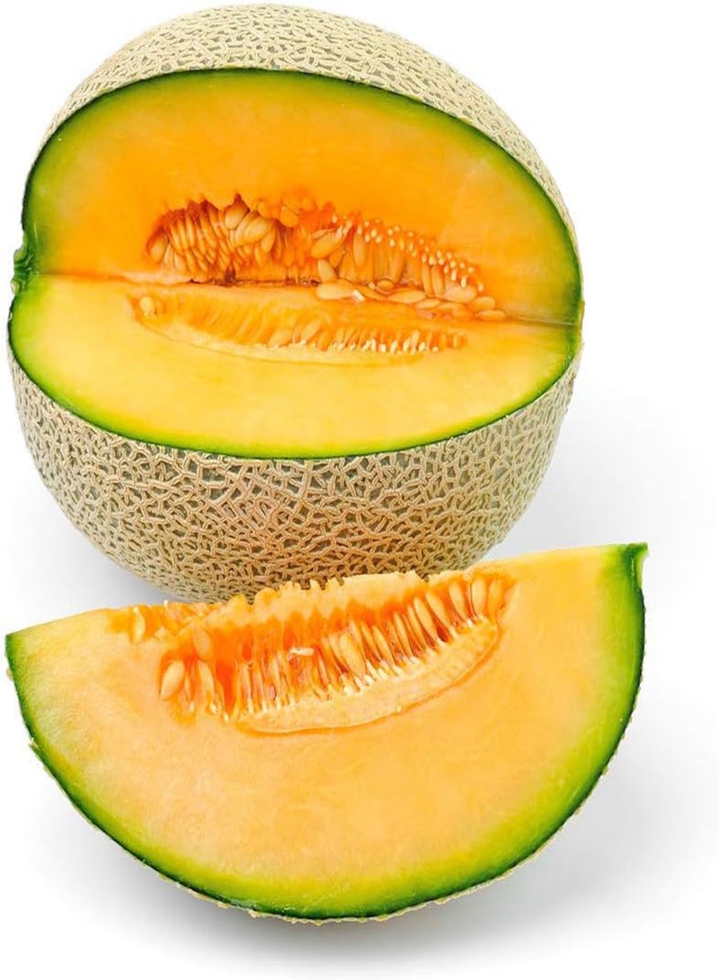 جي جوت 50Stück Cantaloupe Samen Golden einzigartige Gartenarbeit Zierfrüchte hoher Ertrag Einfach zu pflanzen kletternde blühende Weinkräuter für die Gartenpflanzung - Image 1