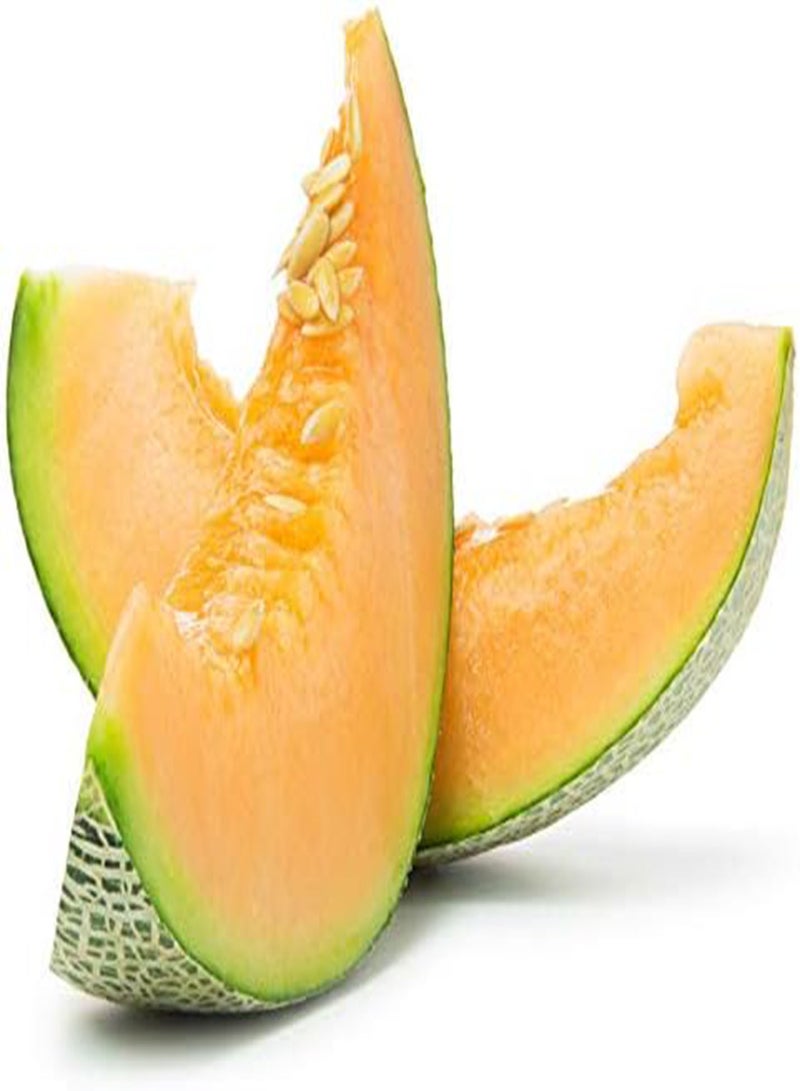 جي جوت 50Stück Cantaloupe Samen Golden einzigartige Gartenarbeit Zierfrüchte hoher Ertrag Einfach zu pflanzen kletternde blühende Weinkräuter für die Gartenpflanzung - Image 2